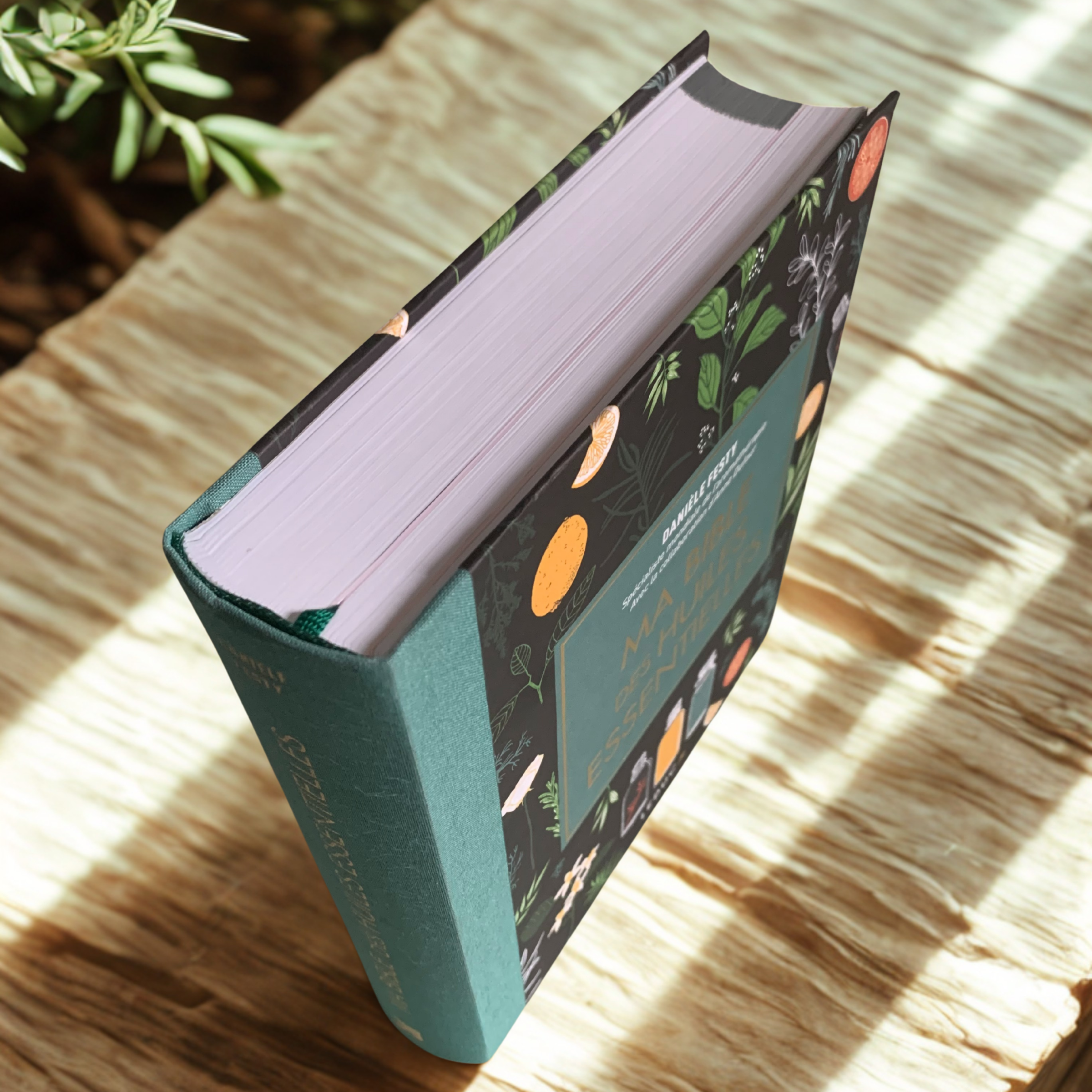 Ma Bible des huiles essentielles – Édition luxe