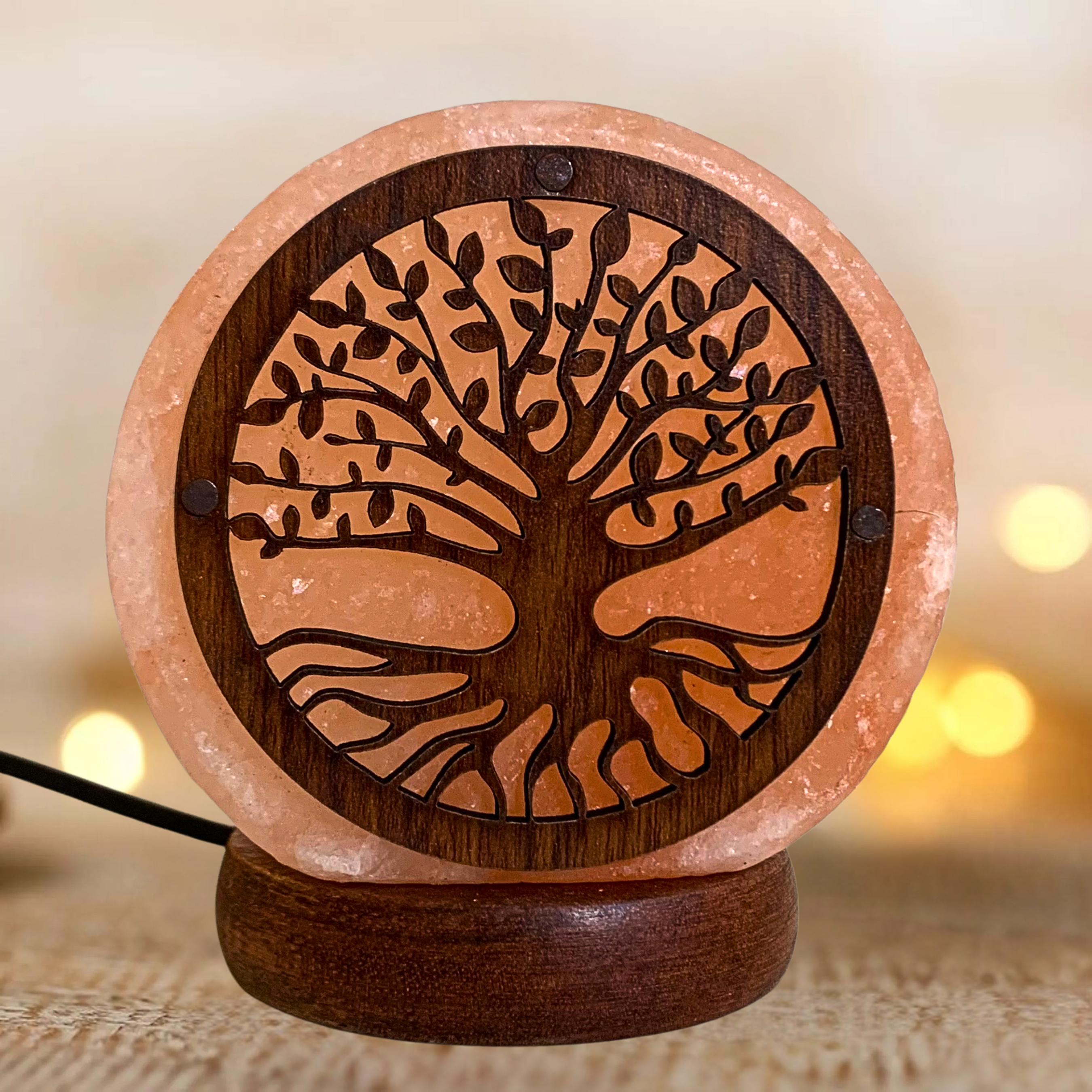 Lampe de sel de l’Himalaya – ARBRE DE VIE lumineux