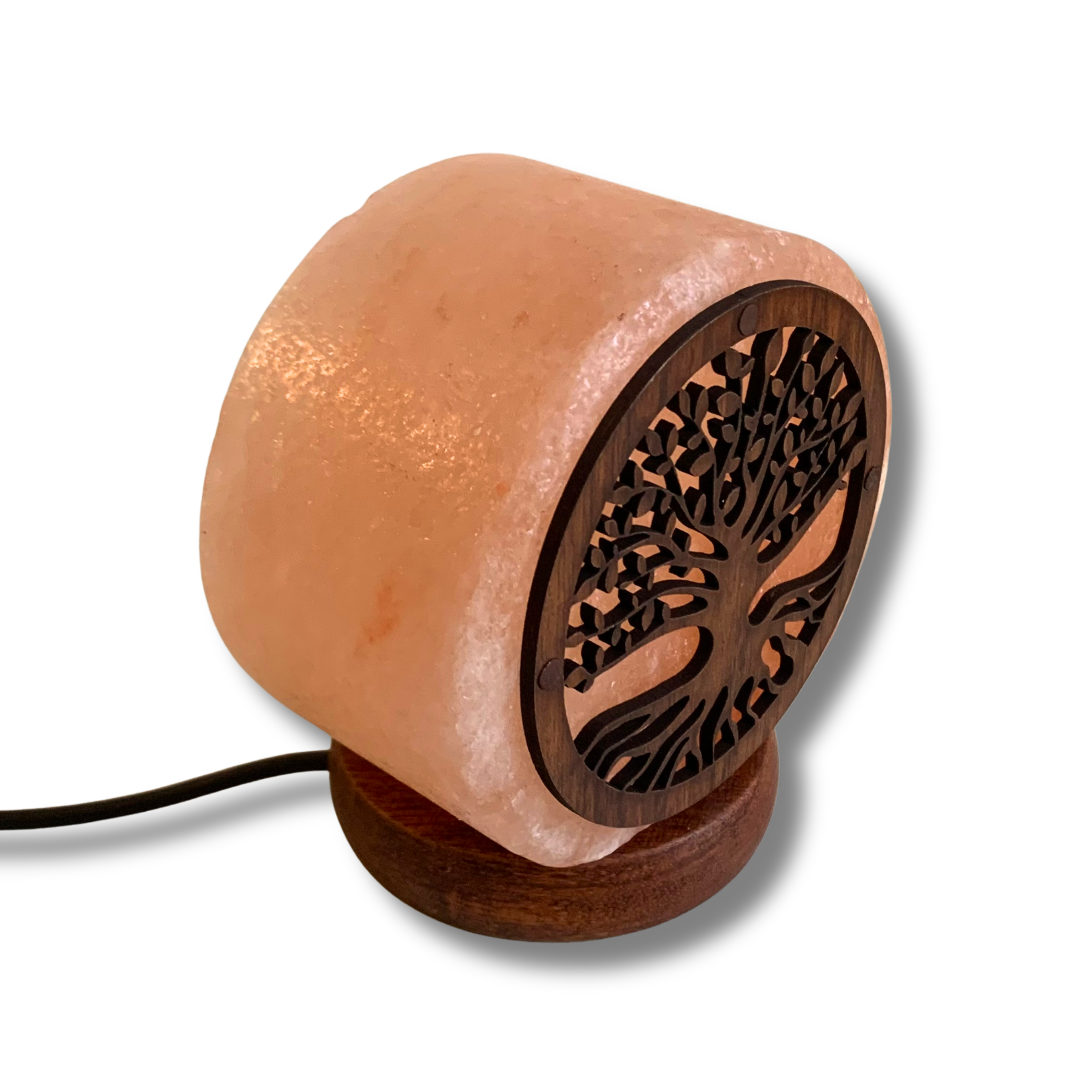 Lampe de sel de l’Himalaya – ARBRE DE VIE lumineux