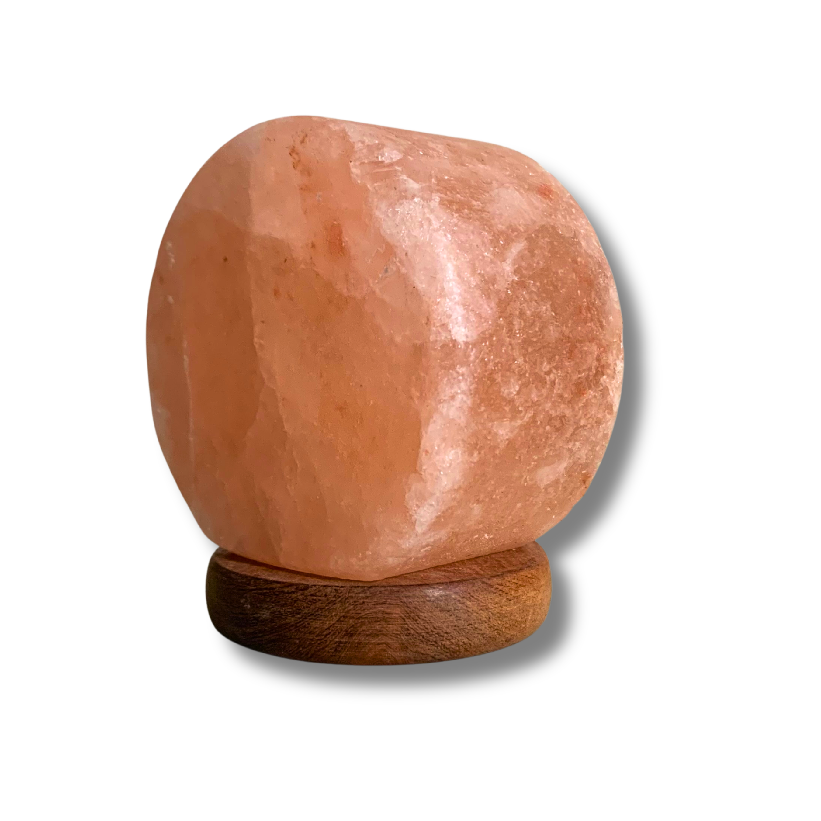 Lampe de sel de l’Himalaya – ARBRE DE VIE lumineux