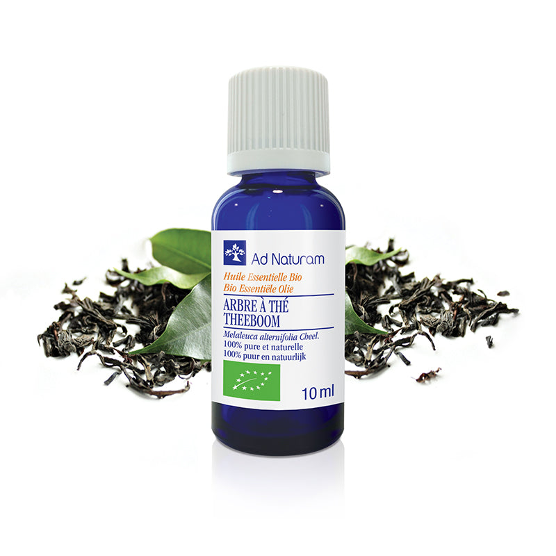 Huile Essentielle Bio d’Arbre à Thé (TEA TREE) – Anti-inflammatoire