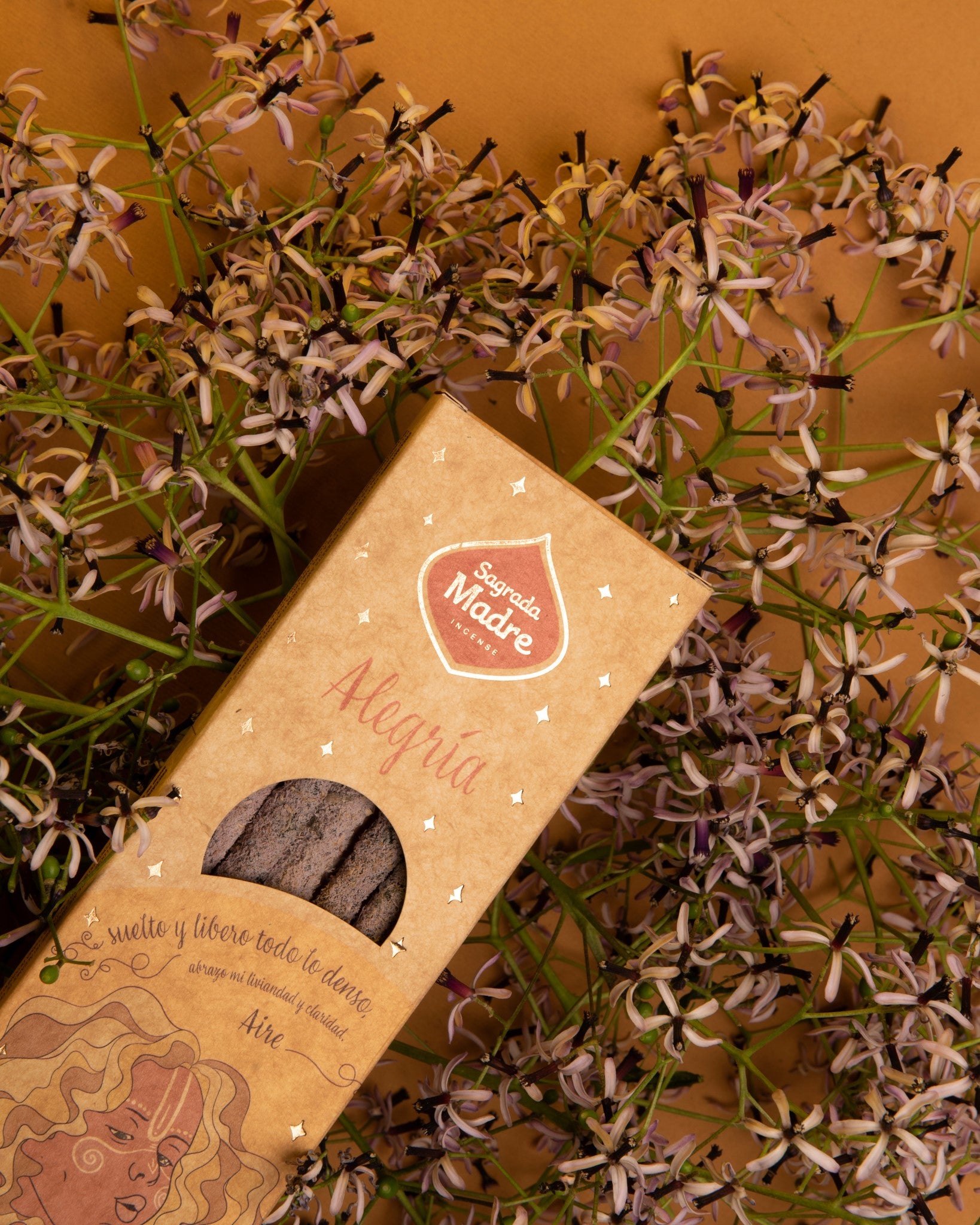 🌬️ Encens des 5 Éléments – AIR | Joie – Gémeaux, Balance, Verseau