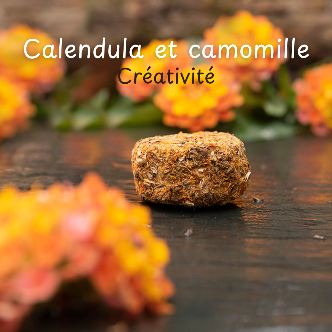 Pastilles d’encens de fumigation 7 jours de nettoyage | Purification, protection & harmonie