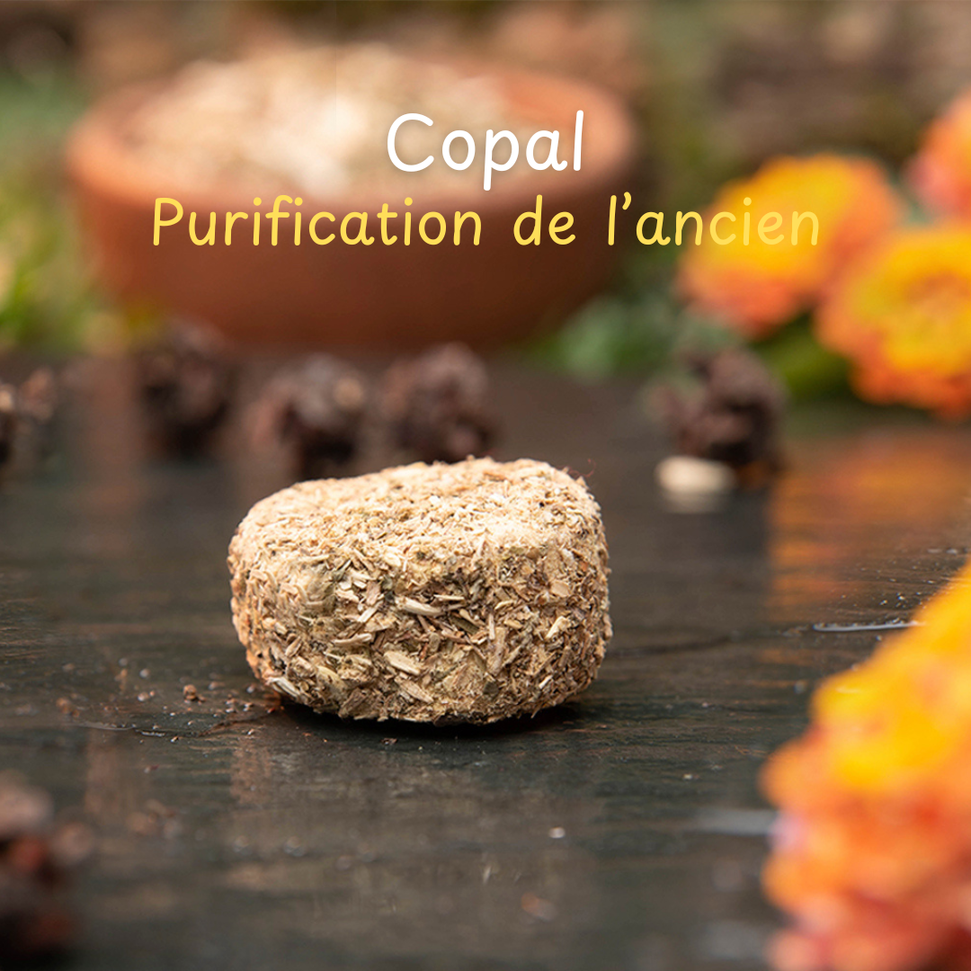 Pastilles d’encens de fumigation 7 jours de nettoyage | Purification, protection & harmonie