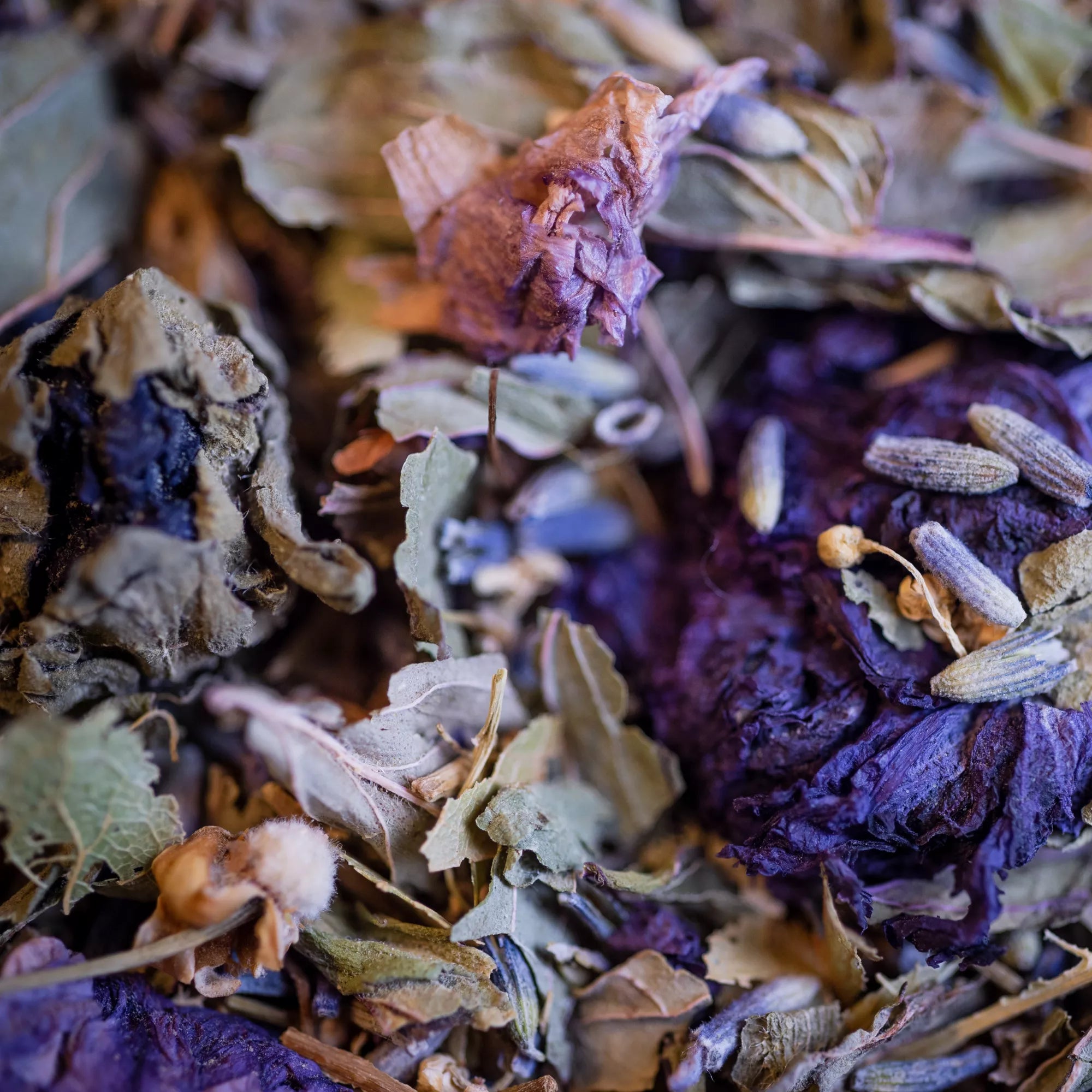 Tisane bio A VOS SOUHAITS 50g - Respiratoire & Immunité