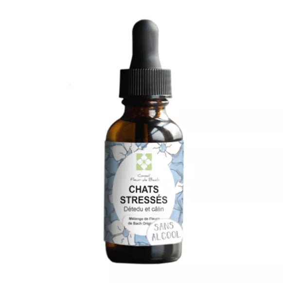 Fleurs de Bach CHAT STRESSÉ 🐾 Apaisez votre compagnon en douceur