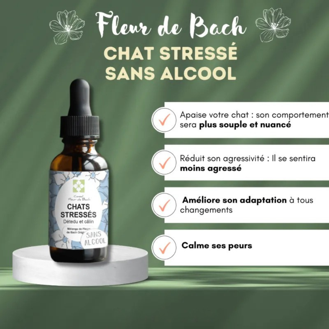 Fleurs de Bach CHAT STRESSÉ 🐾 Apaisez votre compagnon en douceur