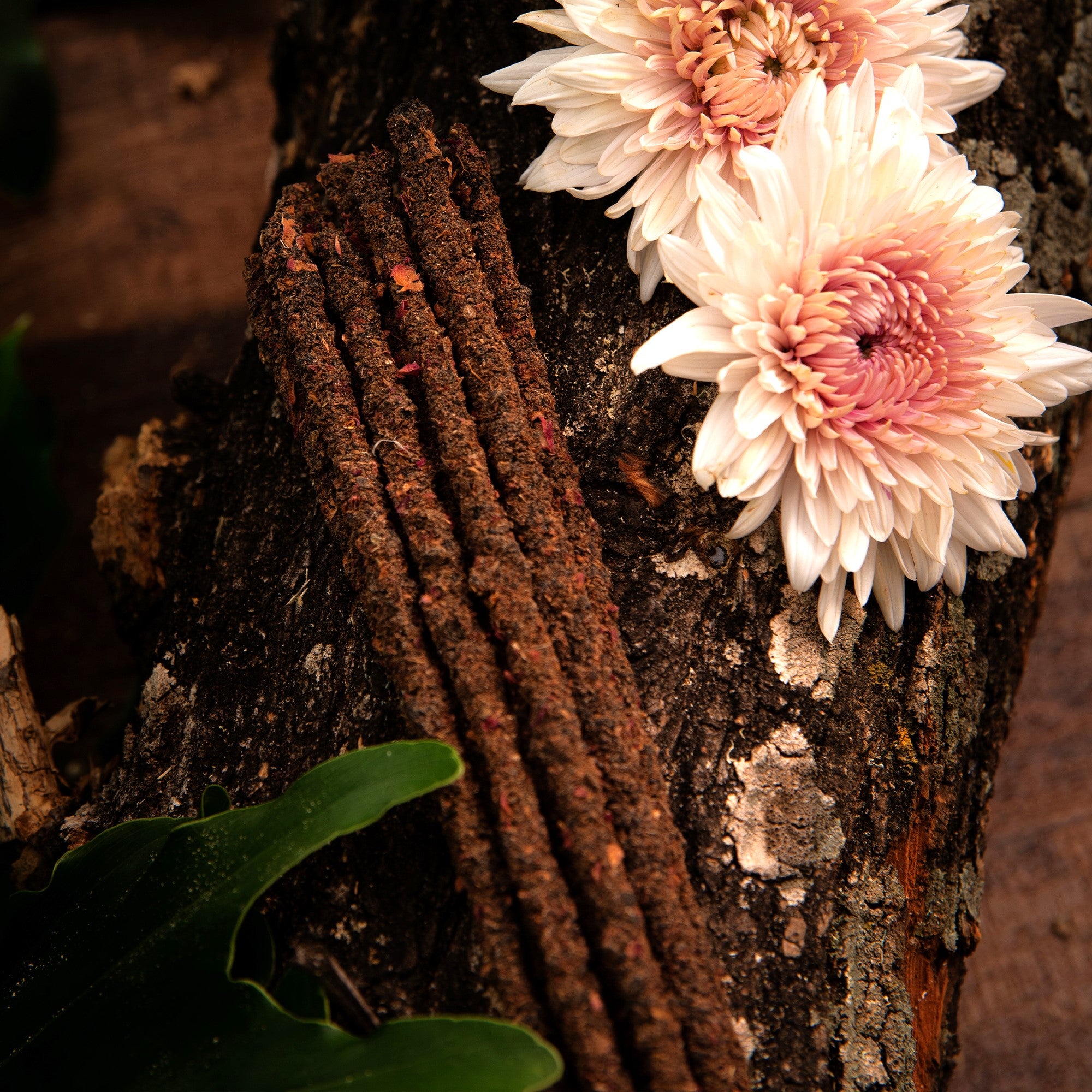 Encens Rose Botanique & Clou de Girofle | Abondance en amour