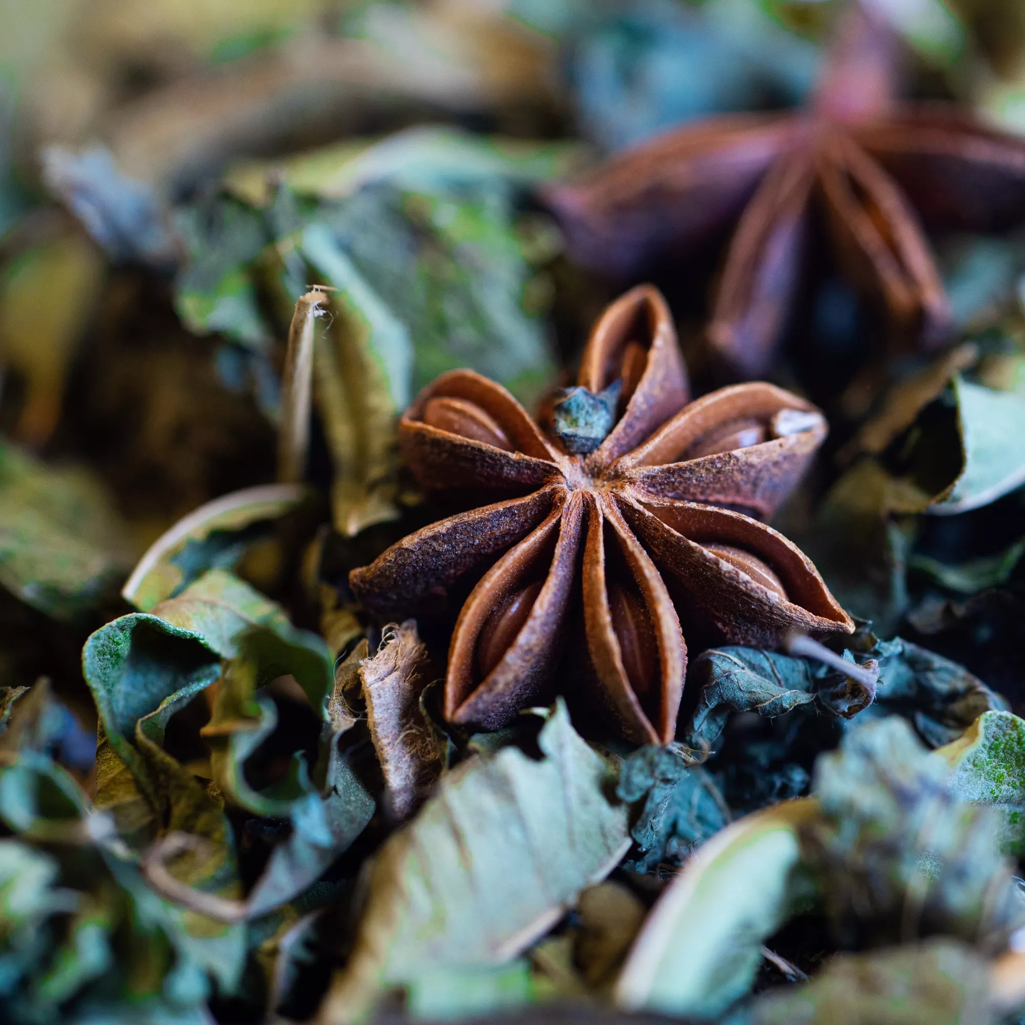 Tisane bio DIGESTIVE 50g - Après-repas & Confort