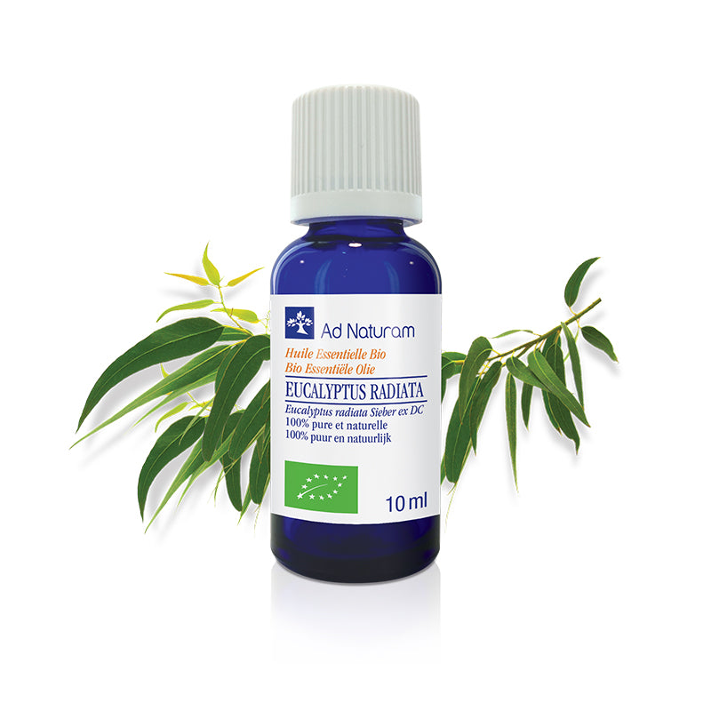 Huile essentielle EUCALYPTUS RADIATA Bio – Immunitaire