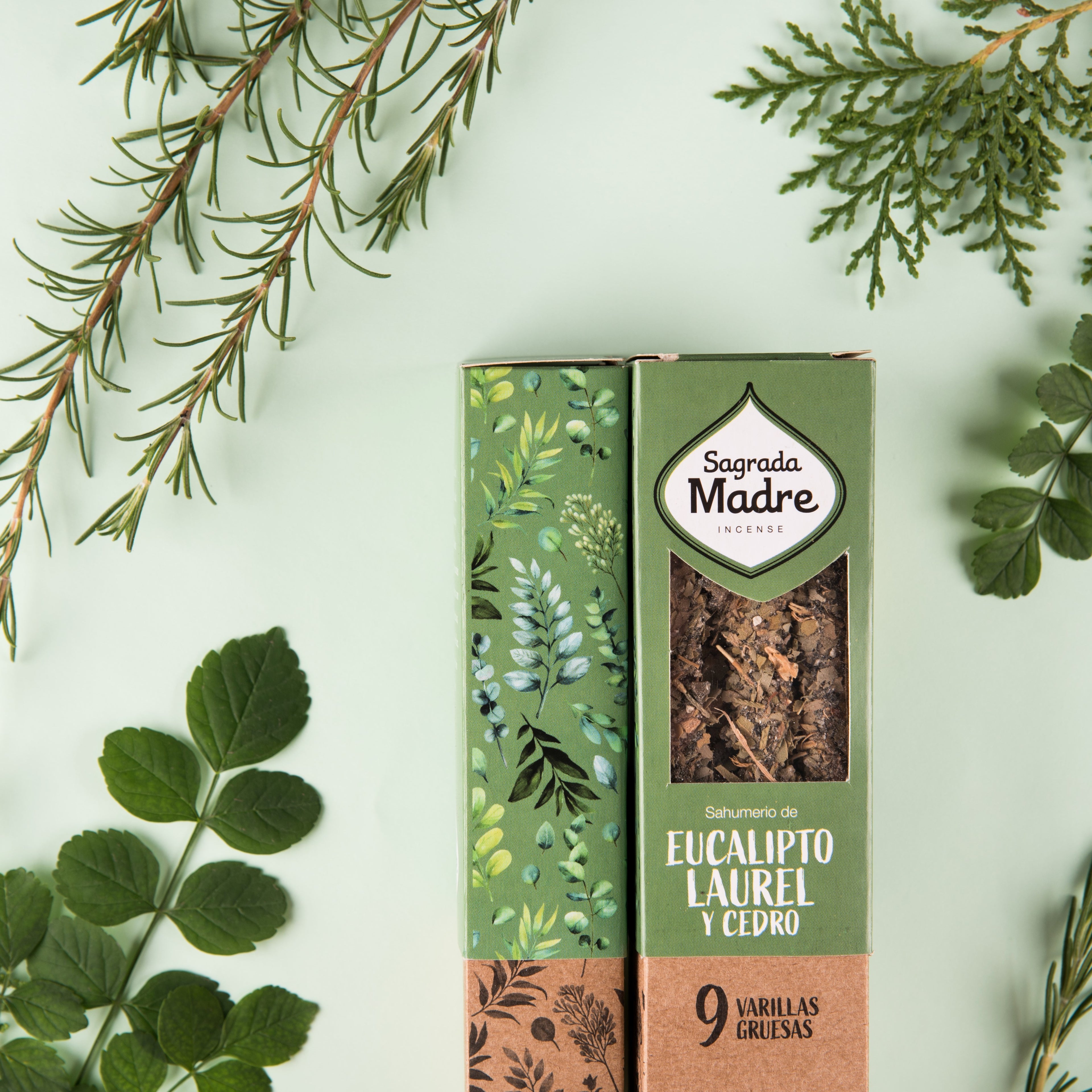 Encens Eucalyptus, Laurier & Cèdre | Nouveau départ