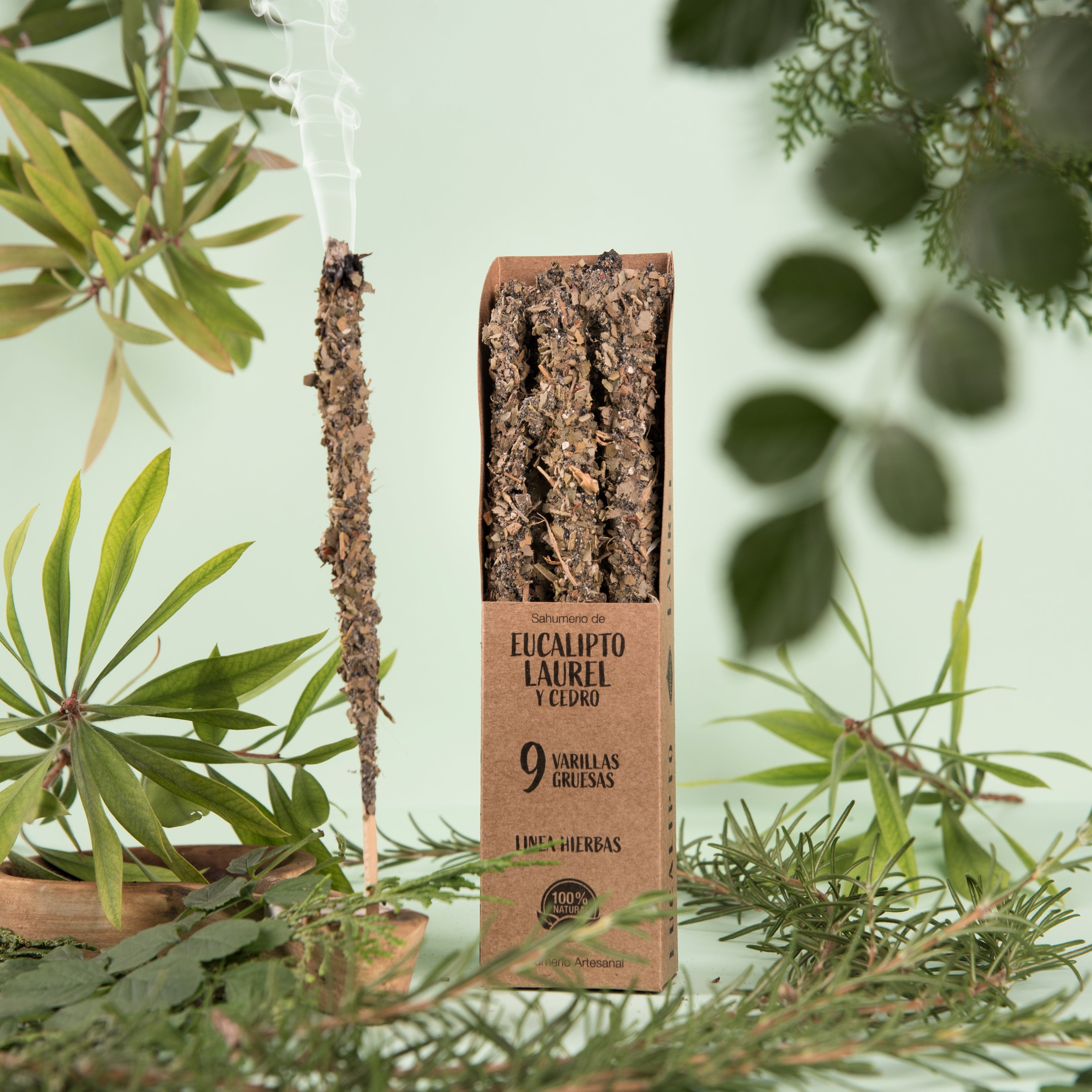Encens Eucalyptus, Laurier & Cèdre | Nouveau départ