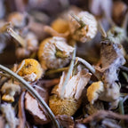Tisane bio L'HÉPATANTE 50g - Foie & Détox
