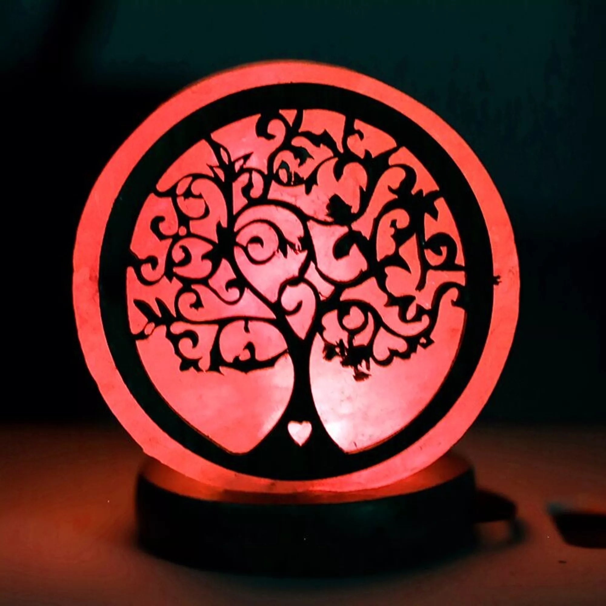 Lampe de sel de l’Himalaya – ARBRE DE VIE lumineux