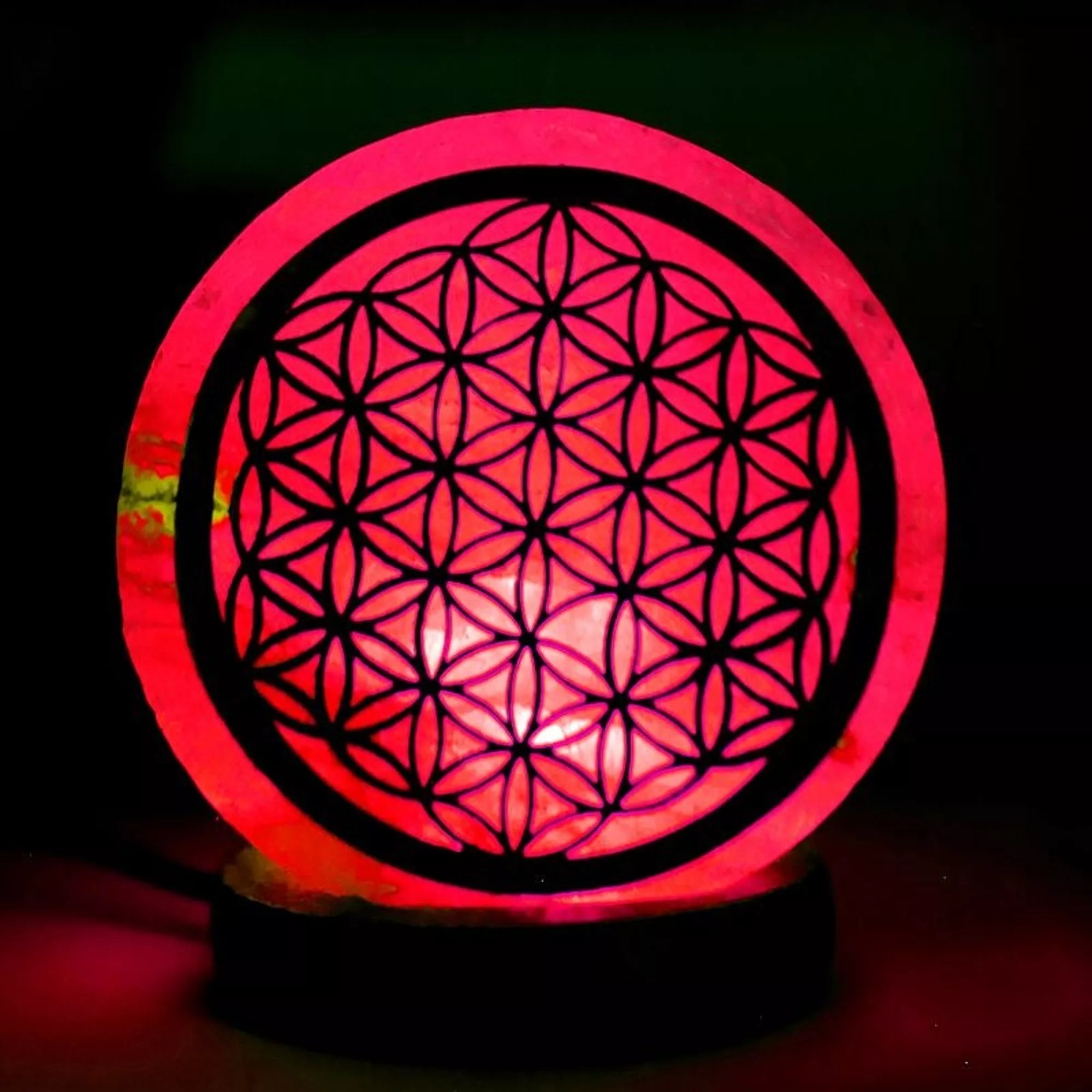 Lampe de sel de l’Himalaya – FLEUR DE VIE lumineuse