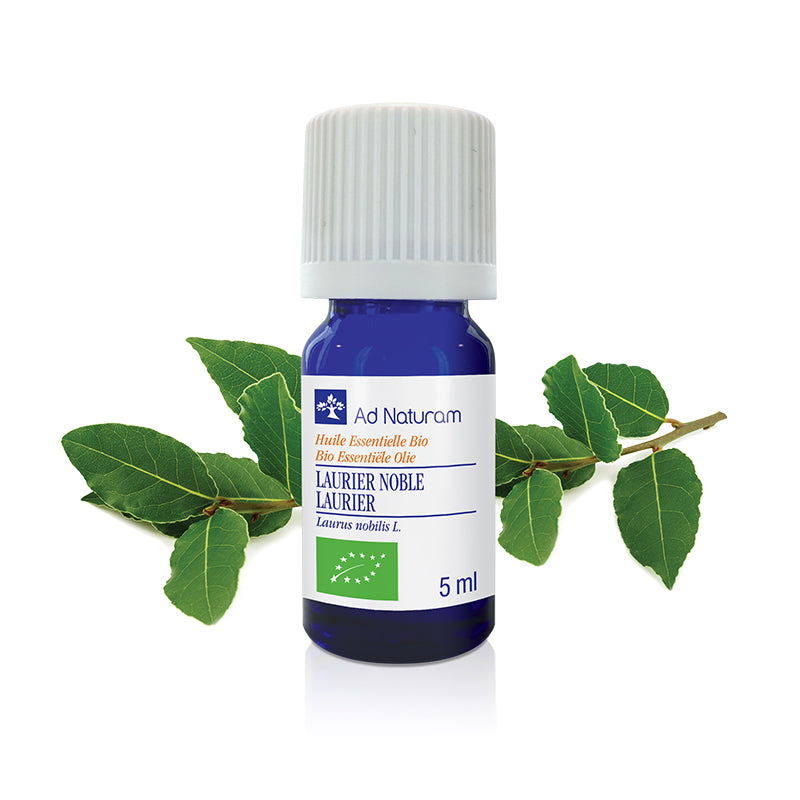 Huile essentielle de LAURIER NOBLE Bio – Antibactérienne
