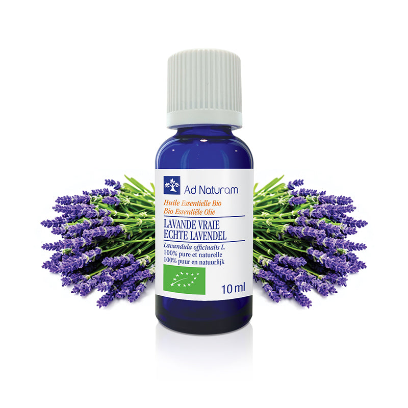 Huile essentielle de LAVANDE VRAI Bio – Apaisante