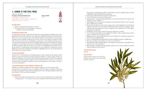 Ma Bible des huiles essentielles – Édition luxe