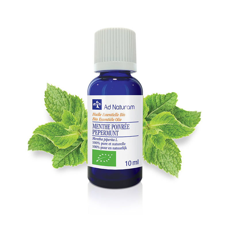 Huile essentielle de MENTHE POIVRÉE Bio – Tonique