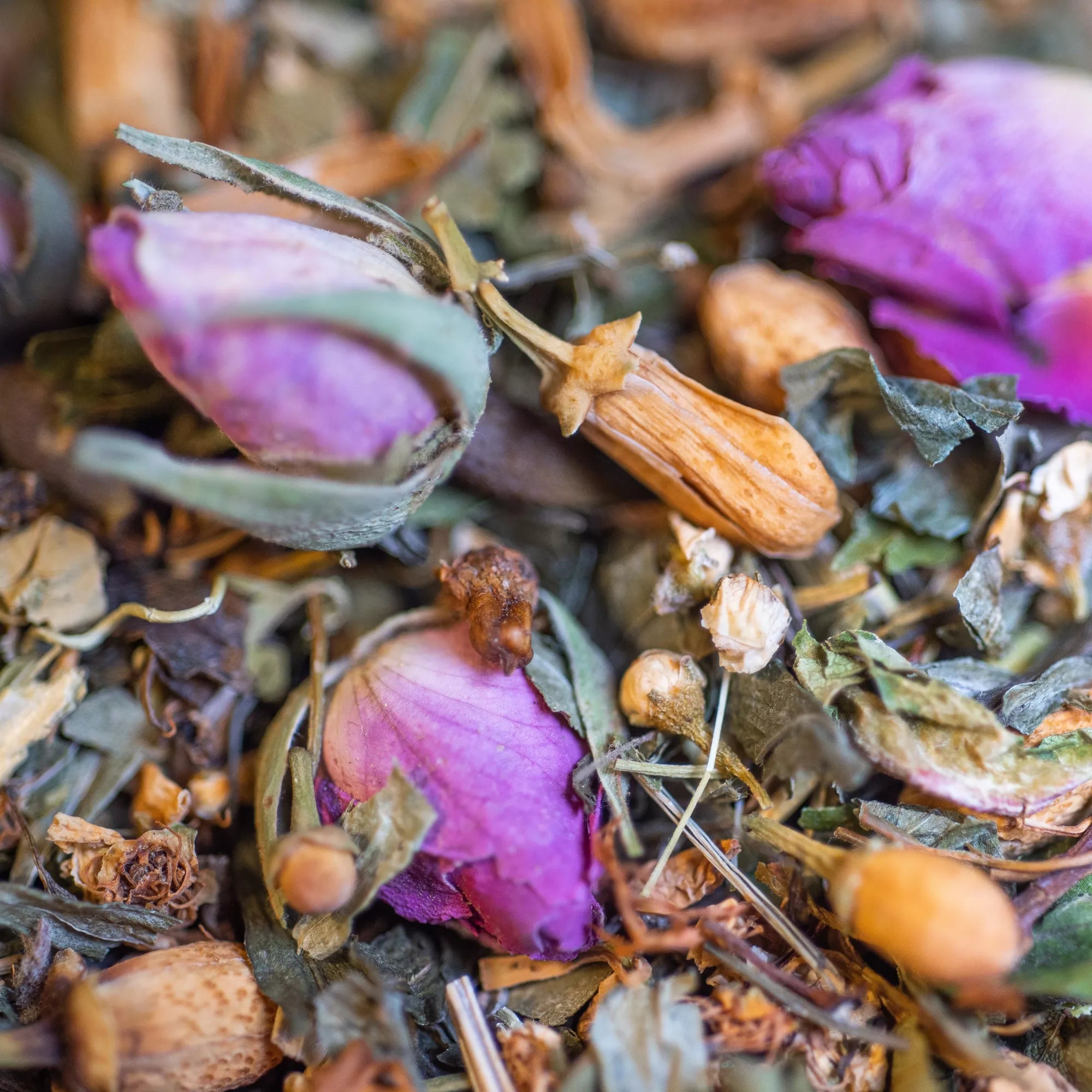Tisane bio NUIT PAISIBLE 50g - Sommeil & Relaxation