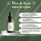 Fleurs de Bach PERTE DE POIDS ⚖️ Un soutien émotionnel pour mincir en douceur