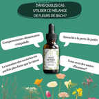 Fleurs de Bach PERTE DE POIDS ⚖️ Un soutien émotionnel pour mincir en douceur