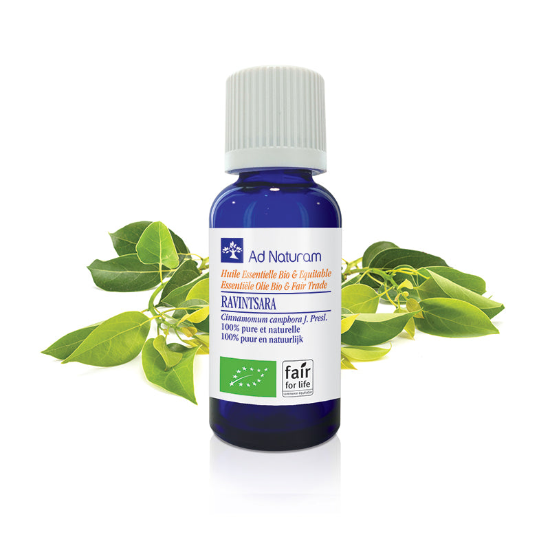 Huile essentielle de RAVINTSARA Bio – Antivirale