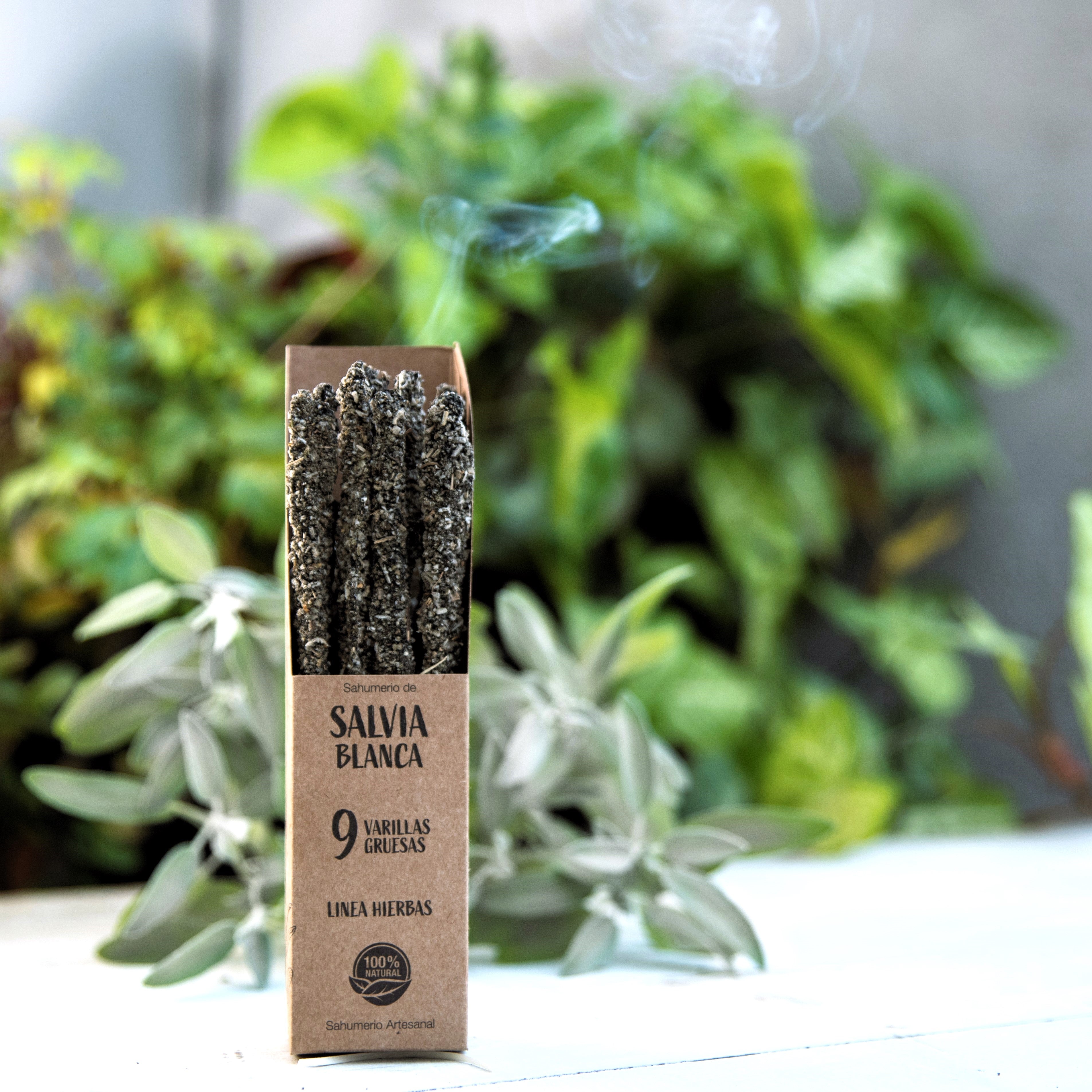 Encens Sauge Blanche | Paix, Protection & Prospérité