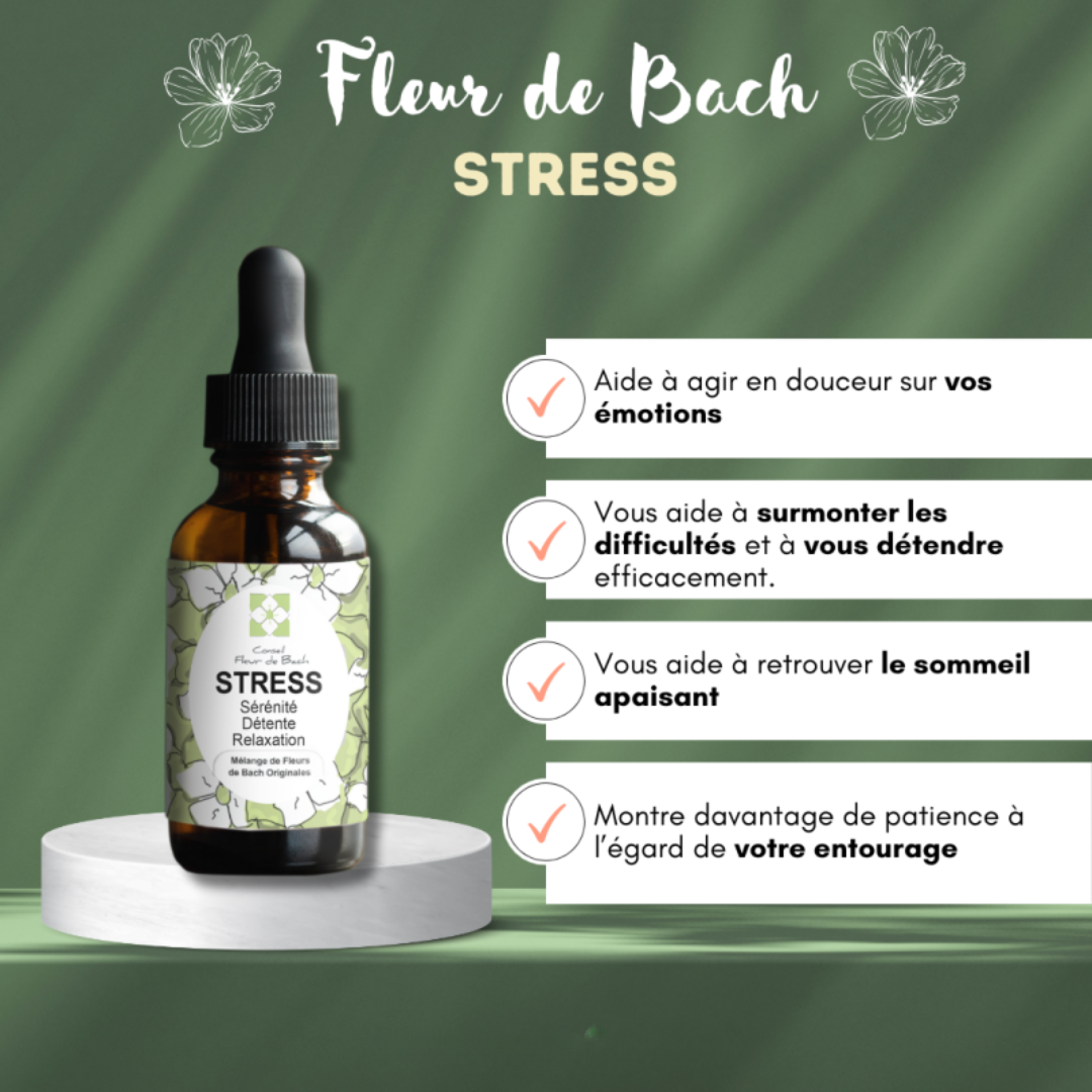 Fleurs de Bach STRESS & ANXIÉTÉ 🍃 Calme et sérénité retrouvés