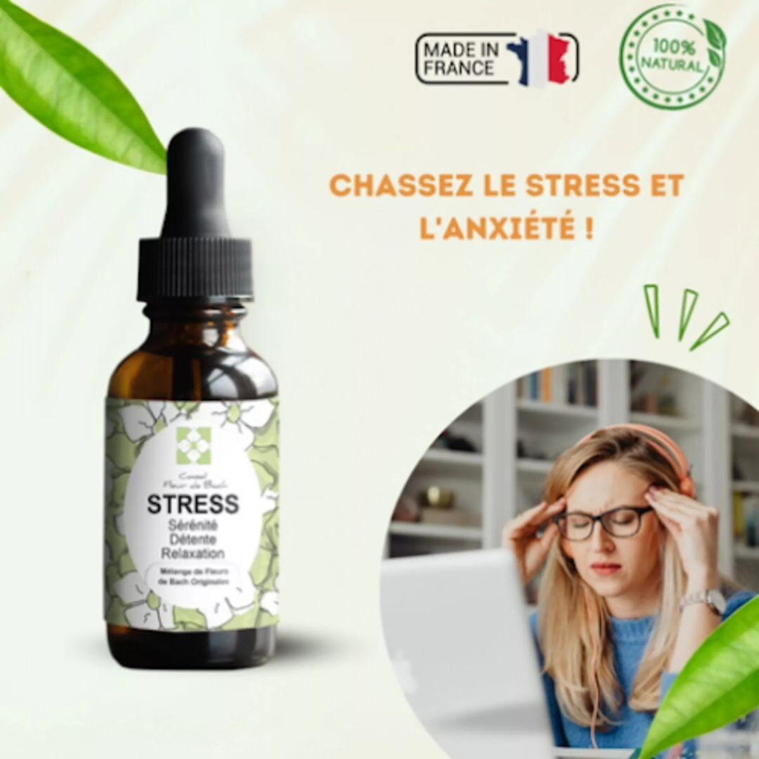 Fleurs de Bach STRESS & ANXIÉTÉ 🍃 Calme et sérénité retrouvés