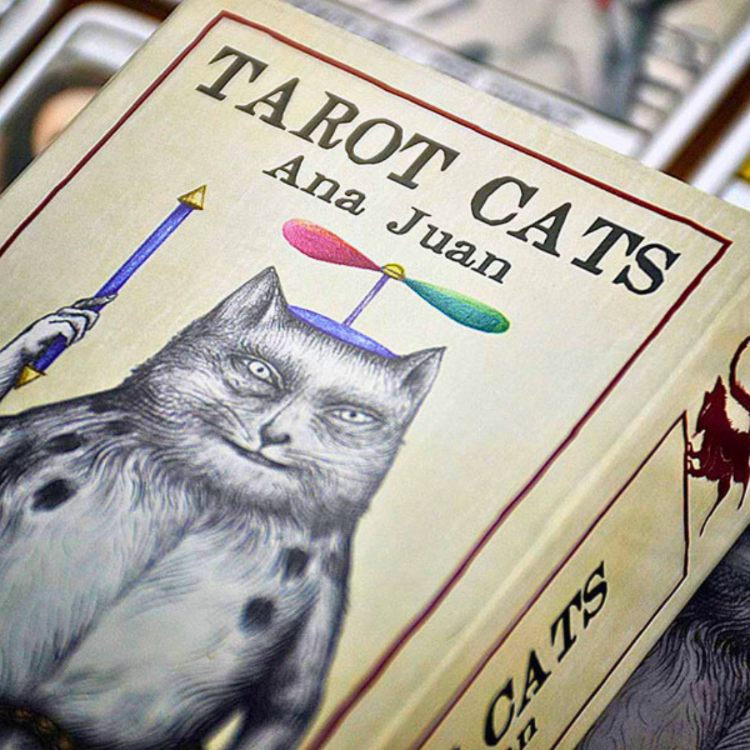 TAROTS DES CHATS – Ana Juan, 78 cartes mystiques & intemporelles
