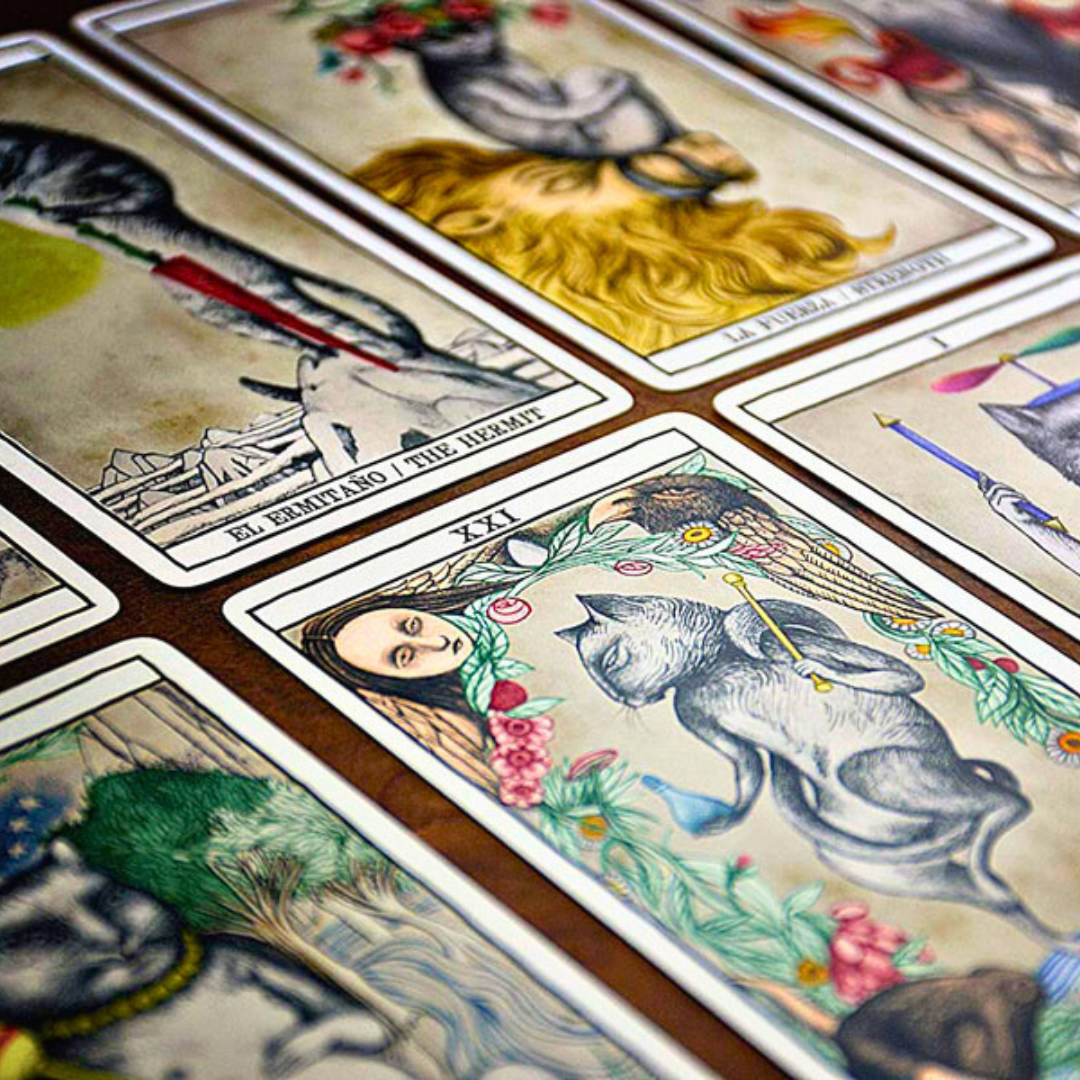 TAROTS DES CHATS – Ana Juan, 78 cartes mystiques & intemporelles